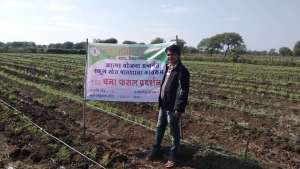 सोनपुरी के किसान उन्नत कृषि अपनाकर कमा रहे मुनाफा