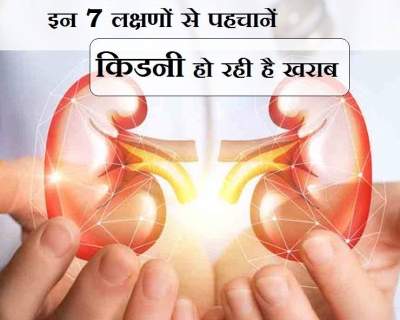 इन 7 लक्षणों से पहचानें किडनी हो रही है खराब और जानिए Kidney को सेहतमंद रखेगी यह चाय, Liver को भी रखेगी स्वस्थ