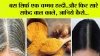 एक चम्मच हल्दी में मिलाकर लगा लें ये चीज, सफेद बाल जड़ से हो जाएंगे काले, कभी नहीं लगाना पड़ेगा कलर