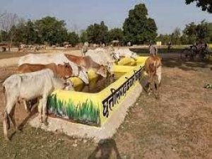 मुख्यमंत्री ने पैरा चारा की व्यवस्था के लिए गौठान समितियों को स्वीकृत की 40-40 हजार रूपए की राशि..