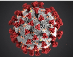 जिले में अब तक 132 मरीजों की  कोरोना से मौत