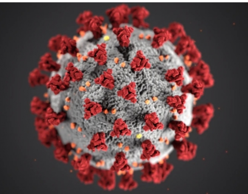 जिले में अब तक 132 मरीजों की  कोरोना से मौत