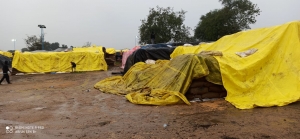 बारिश से मंडियों में पड़े धान को नुकसान, समितियों की चिंताएं बड़ी