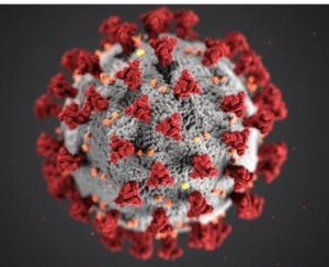 आज नगरी में 68 नए antigen positive  मरीजों की पहचान की गई