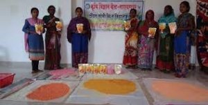 नारायणपुर : समूह की महिलाओं के हर्बल गुलाल से रंगेगा नारायणपुर