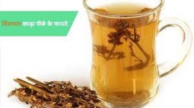 चिरायता जड़ी बूटी से निजात मिलेगा इन 4 तरह की स्वास्थ्य परेशानियों से