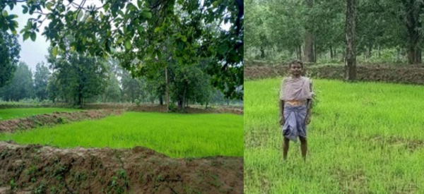 वन अधिकार से कालीराम के जीवन मेें आयी खुशियों की बहार