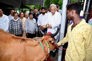 गोधन न्याय योजना में 144 करोड़ की गोबर खरीदी पर महिला समूह और किसानों ने मुख्यमंत्री को &#039;गाय-बछड़ा&#039; आशीर्वाद स्वरूप भेंट किया