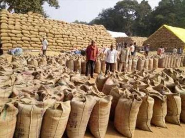छत्तीसगढ : कस्टम मिलिंग के लिए 105.55 लाख मीट्रिक टन धान का उठाव