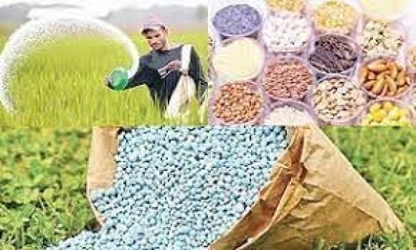 रबी बीज, उर्वरक और औषधियों की जांच जारी