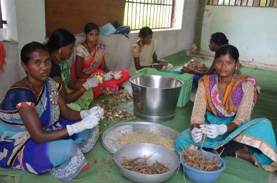 सफलता की कहानी : दुगली लघु वनोपज प्रसंस्करण केन्द्र से वनवासियों को हुनर के साथ मिला स्वरोजगार