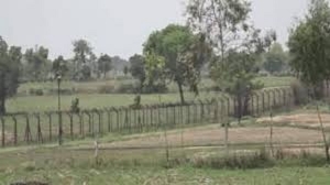 बड़ी खबर : जीरो लाइन पर 18 साल बाद खेती