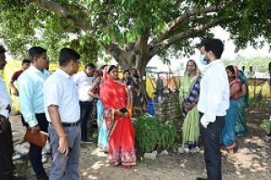 जैविक धान, फल-सब्जी की होगी ब्रांडिंग, सी-मार्ट में उपलब्ध होंगे