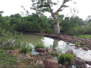नरवा विकास से कुंओं और हैण्ड पम्प का सुधरता जल स्तर