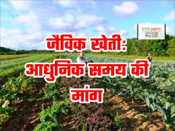 जैविक खेती में किसानों का अधिक रुझान, कृषक भाई अधिक लाभ प्राप्त कर रहे हैं