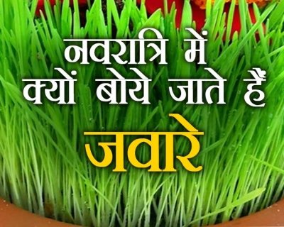 नवरात्रि में क्यों बोये जाते हैं जौ, मां भगवती को क्यों प्रिय है जानिए 10 वजह