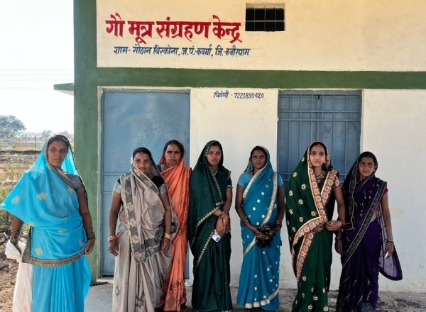 गौमूत्र से बने जैविक कीटनाशक की बढ़ रही है लगातार मांग