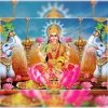 मां लक्ष्मी को ये चीज अर्पित करने से दूर हो सकती हैं आर्थिक परेशानियां, खुश होती हैं देवी