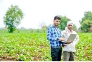 एग्रीस्टेक पोर्टल में 1 लाख 17 हजार 512 किसानों ने कराया कृषक पंजीयन