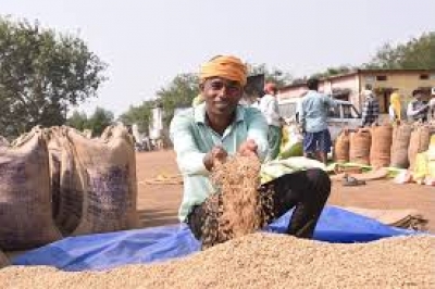 धान खरीदी महाभियान से किसानों में खुशी ,खरीफ विपणन वर्ष 2025-26 में 10 अरब 47 करोड़ से अधिक की खरीदी