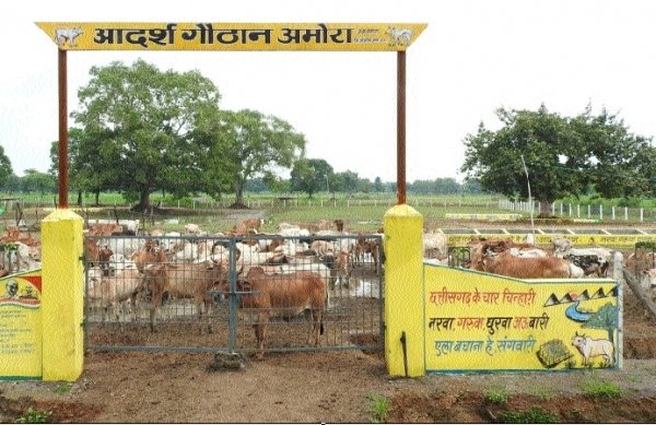 विभिन्न विभागों के द्वारा लगाए जाएंगे शिविर, महिला समूह द्वारा बनाई सामग्री का किया जाएगा प्रदर्शन