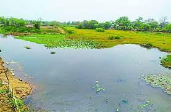 तांदुला नदी की सफाई आज से शुरू