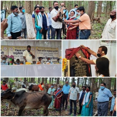 भूपेश सरकार ग्रामीणो के आर्थिक उन्नयन की दिशा मे कई बेहतर योजनाएं लेकरकार्य कर रही-जैन
